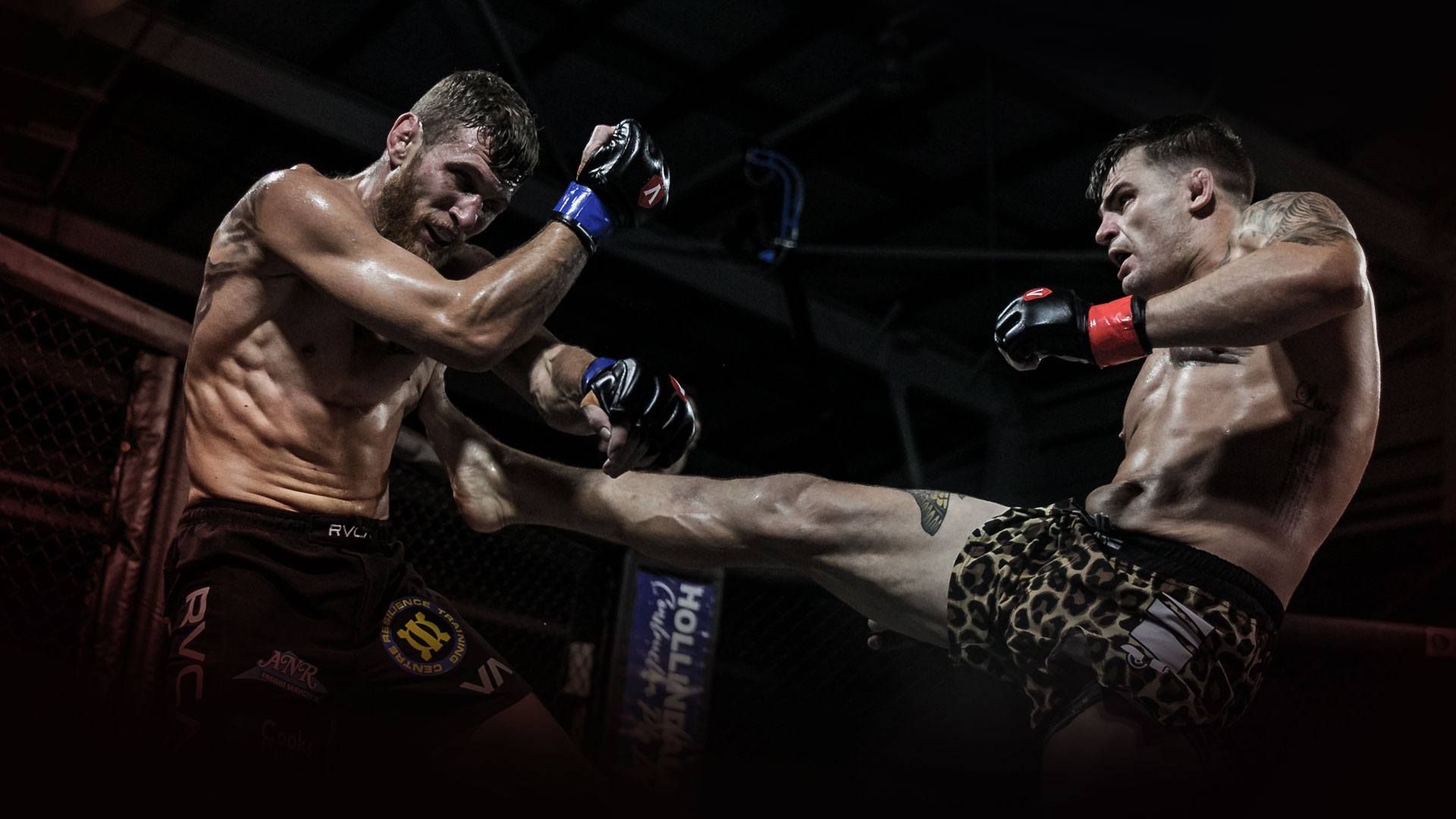 Eternal MMA Australias Premier Mixed Martial Arts Organisation