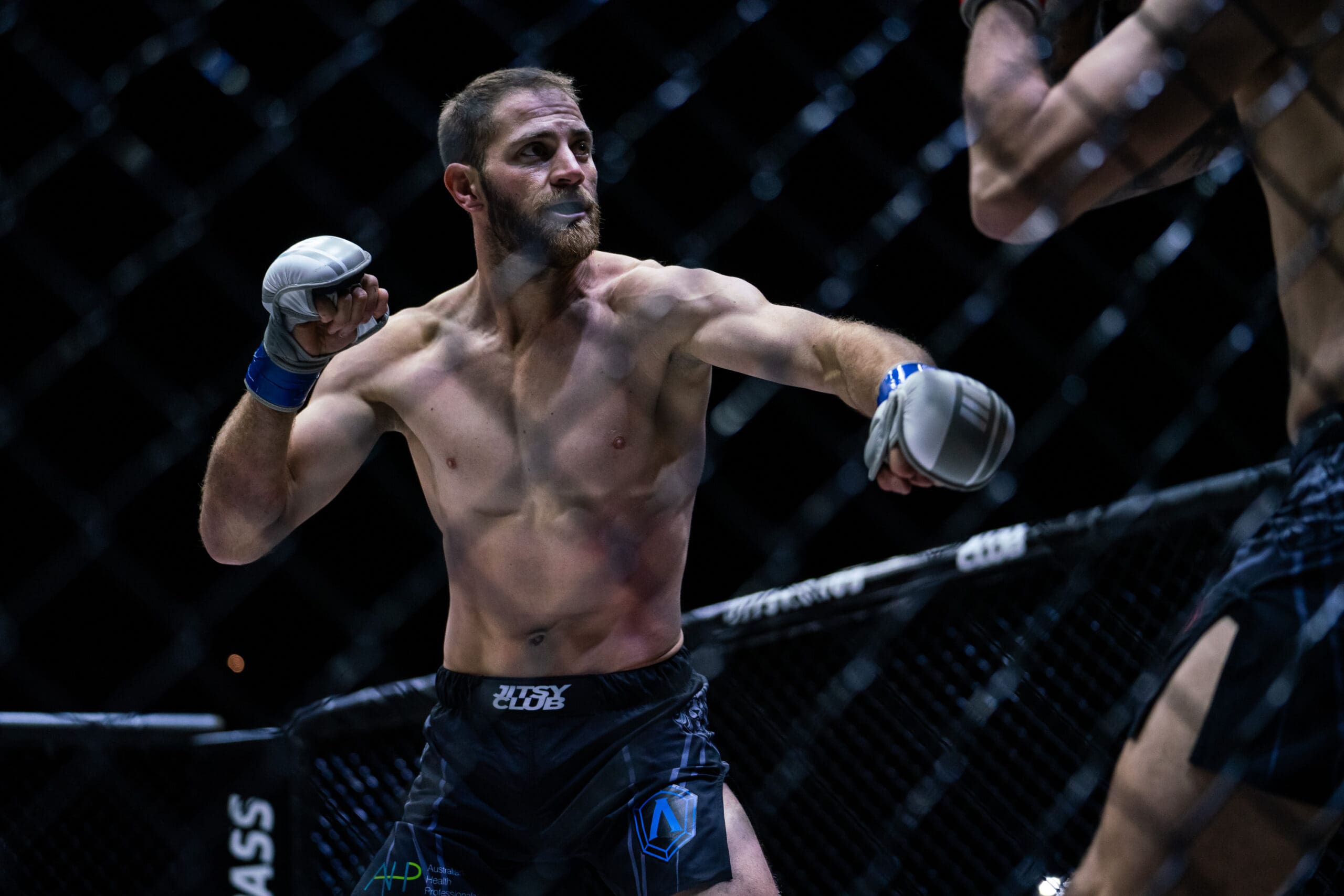 Fighting Styles for MMA: Four disciplines to master - Wilkes