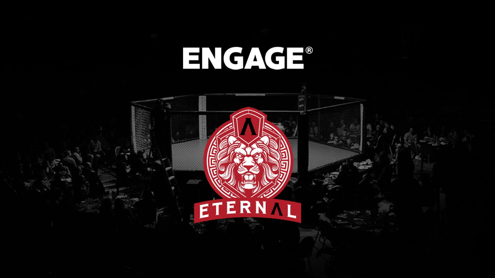Engage Official Fight Team